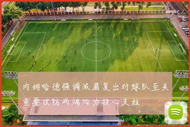 内姆哈德强调浓眉复出对球队至关重要攻防两端均为核心支柱