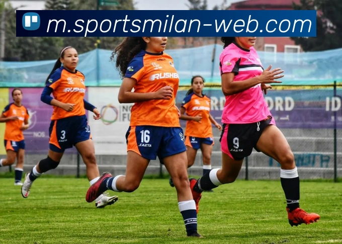 App Interface Preview